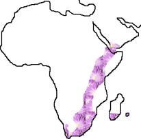 delosperma zone di origine